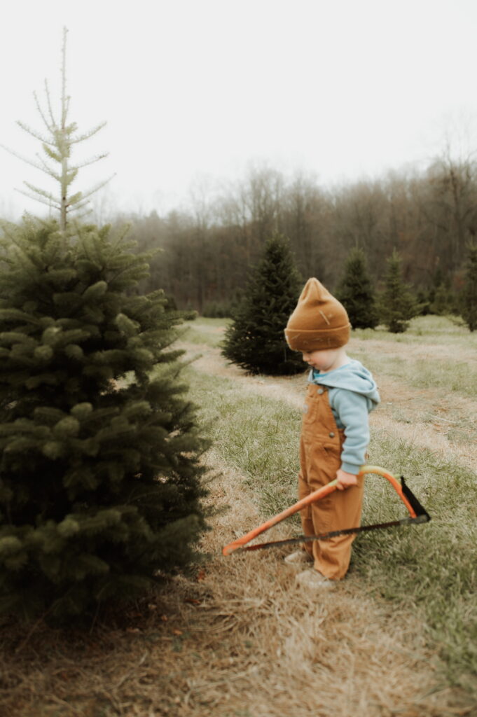 cutting christmas tree winter minis 